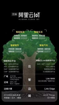 從馬老師到張勇 阿里巴巴的傳承計(jì)劃與數(shù)據(jù)服務(wù)新藍(lán)圖